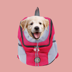 Sac à Dos Chien/Chat