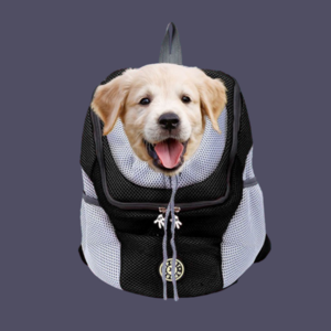 Sac à Dos Chien/Chat