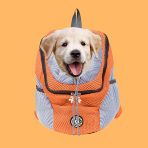 Sac à Dos Chien/Chat