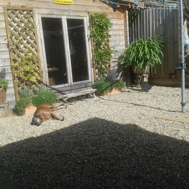 Poule de décoration de jardin